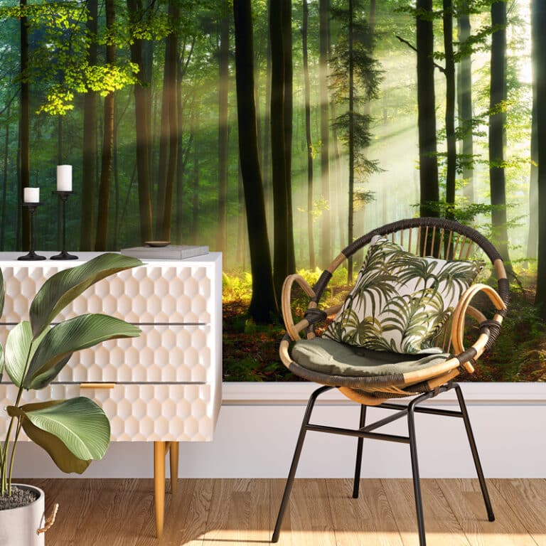 Fotobehang Zonnig lente bos