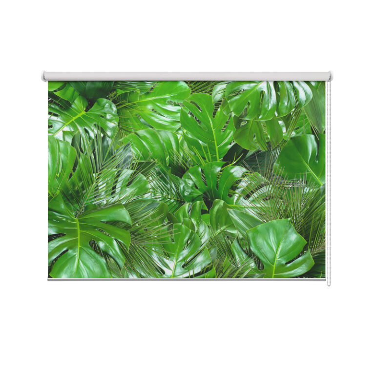 Rolgordijn Jungle bladeren