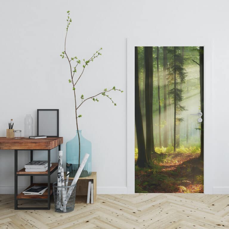 Deursticker Zonnig lente bos