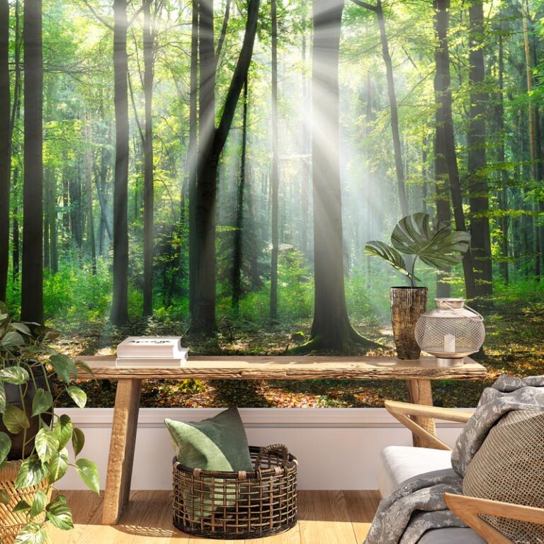Fotobehang Zonnestralen in zomer bos