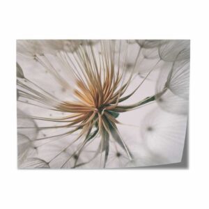 Tafelsticker Dandelion wit grijs