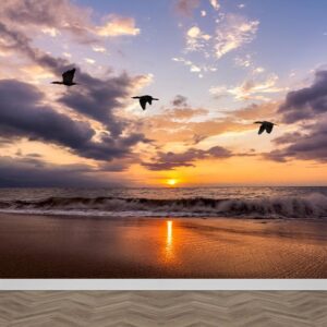 Fotobehang Vogels bij zee zonsondergang