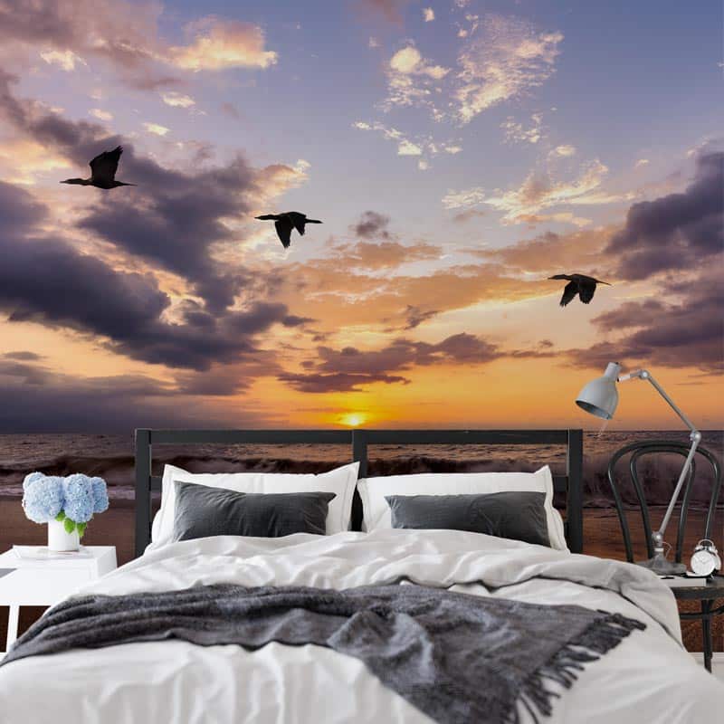 Fotobehang Vogels bij zee zonsondergang