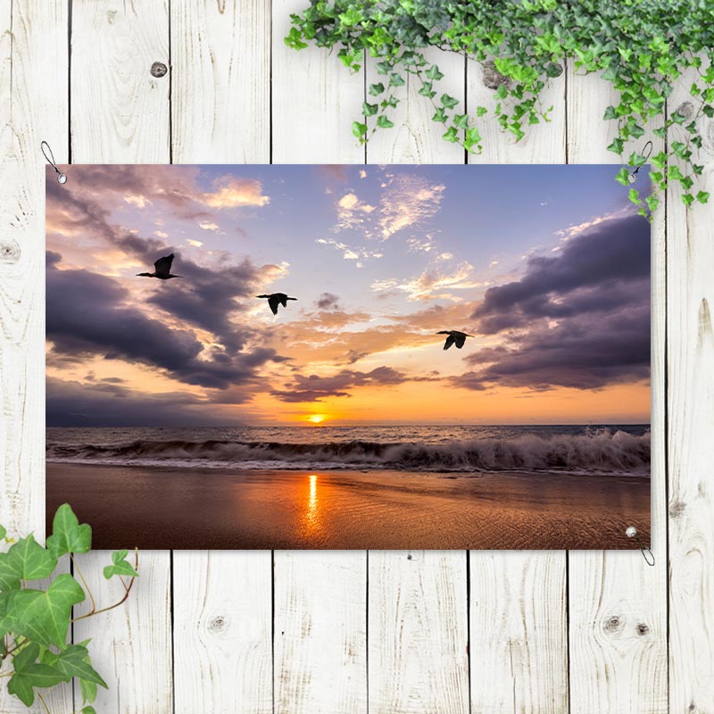 Tuinposter Vogels bij zee zonsondergang