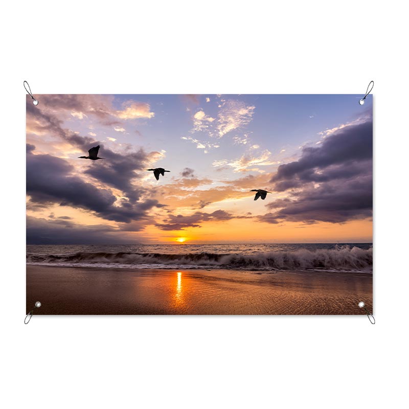 Tuinposter Vogels bij zee zonsondergang