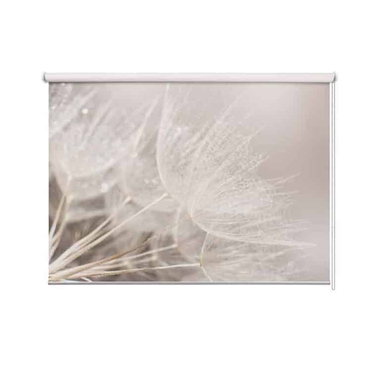 rolgordijn Dandelion in lichte tinten