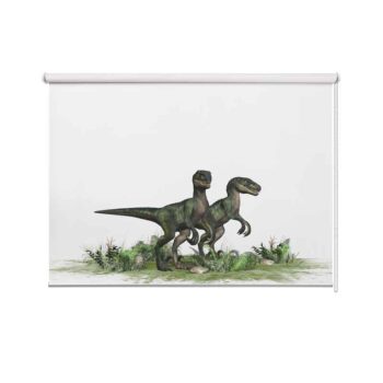 Rolgordijn Dino duo