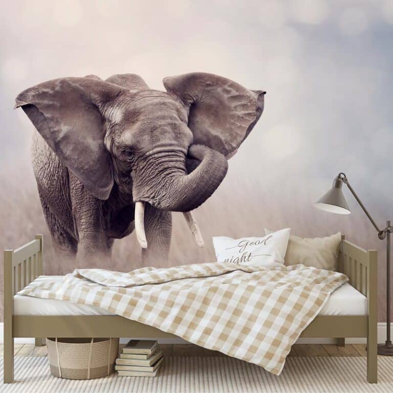 Fotobehang Jonge olifant