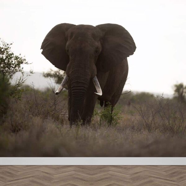 Fotobehang Grote olifant kleur