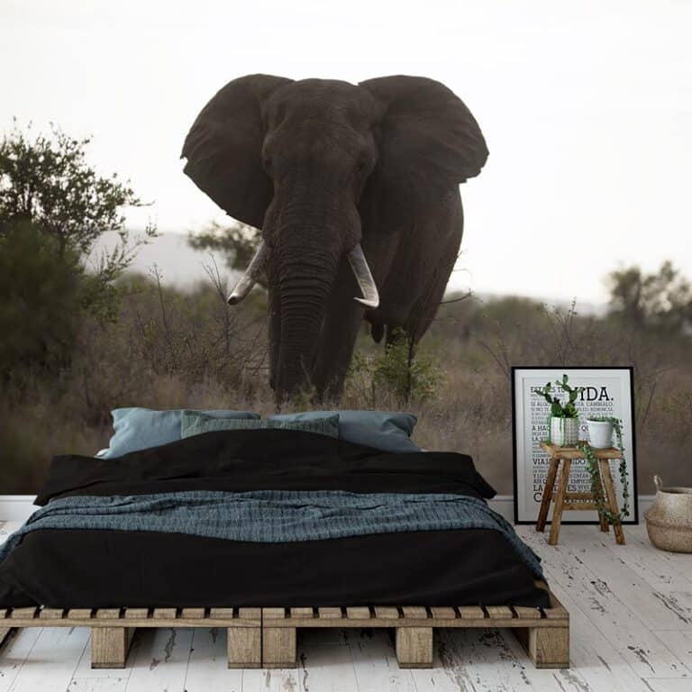 Fotobehang Grote olifant kleur