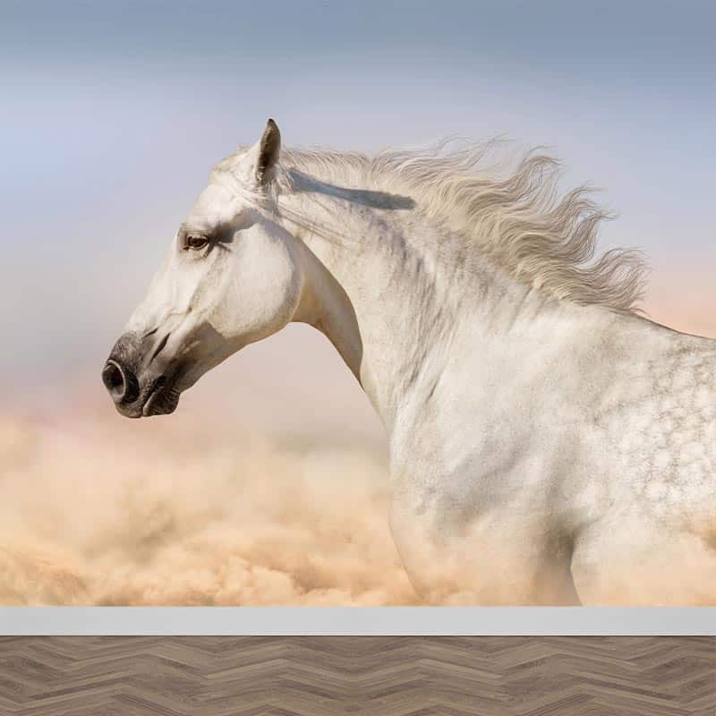 Fotobehang Wit paard in woestijn