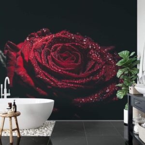 Badkamer behang Rode roos met waterdruppels