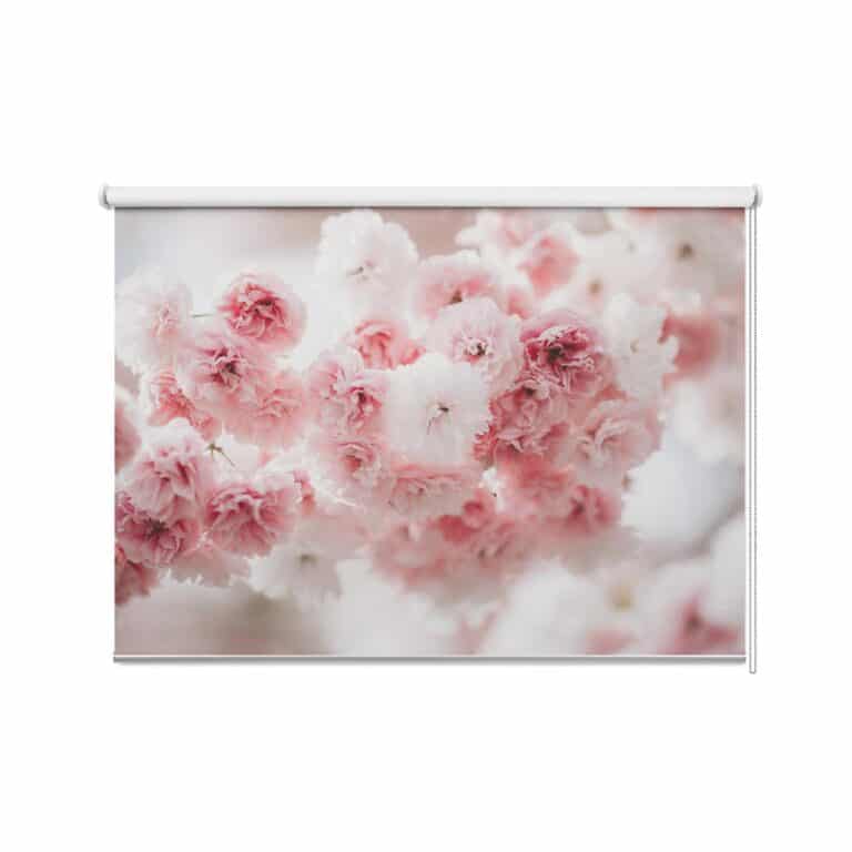 Rolgordijn Sakura bloem