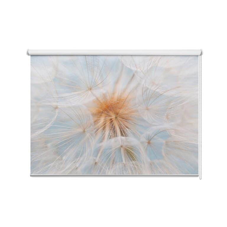 rolgordijn Dandelion in zachte tinten
