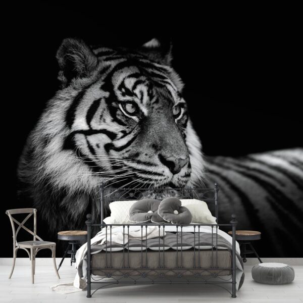 Fotobehang Sumatraanse tijger zwartwit