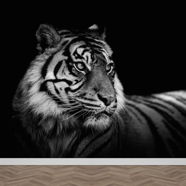 Fotobehang Sumatraanse tijger zwartwit
