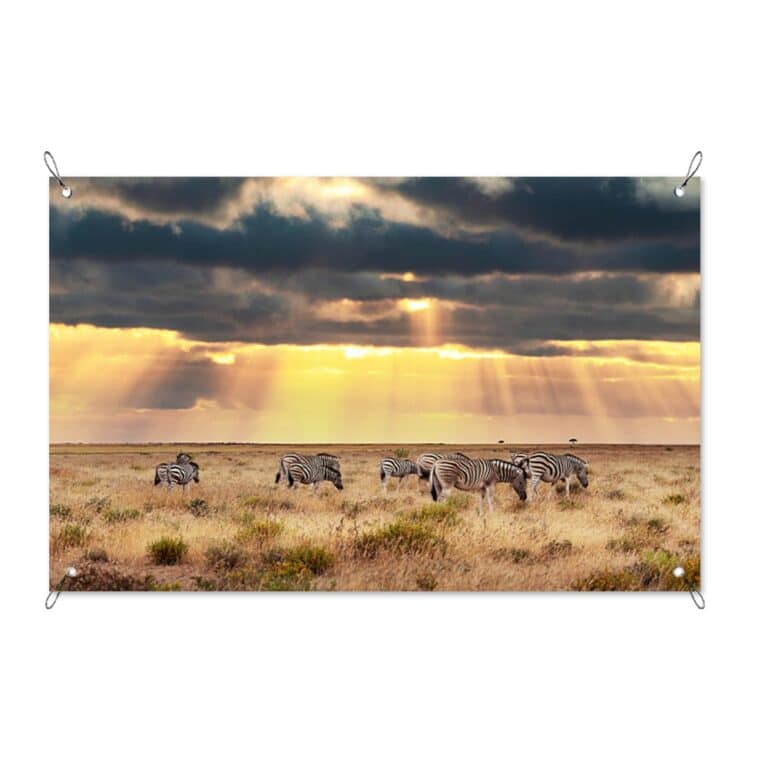 Tuinposter Grazende zebra's