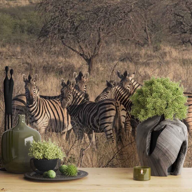 Fotobehang Zebra groep