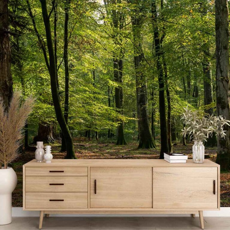 Fotobehang Zonsopkomst in het bos