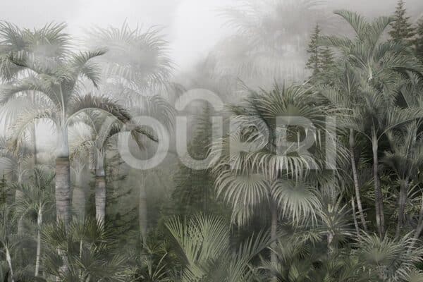 Fotobehang Mist in jungle