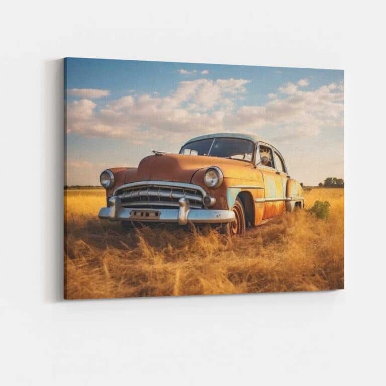 Canvas Vintage auto in grasland