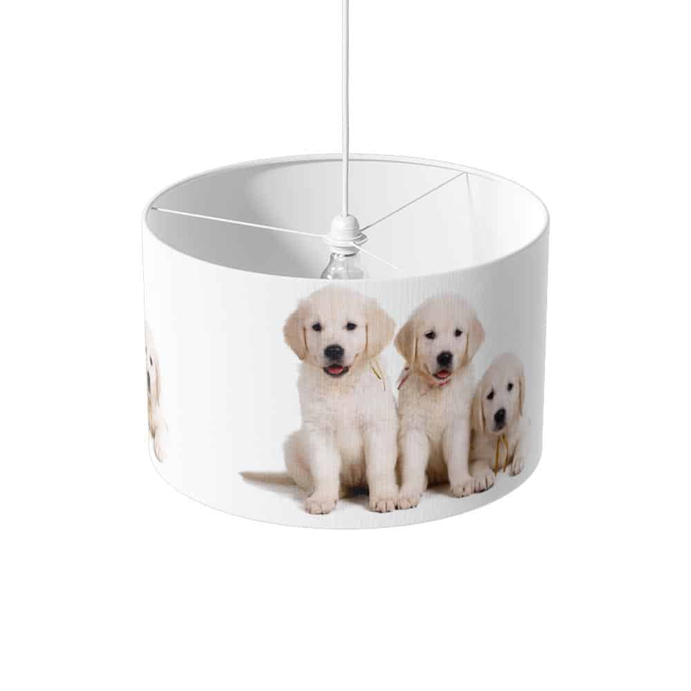 lampenkap labrador pups