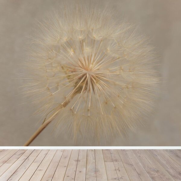 behang Dandelion solo