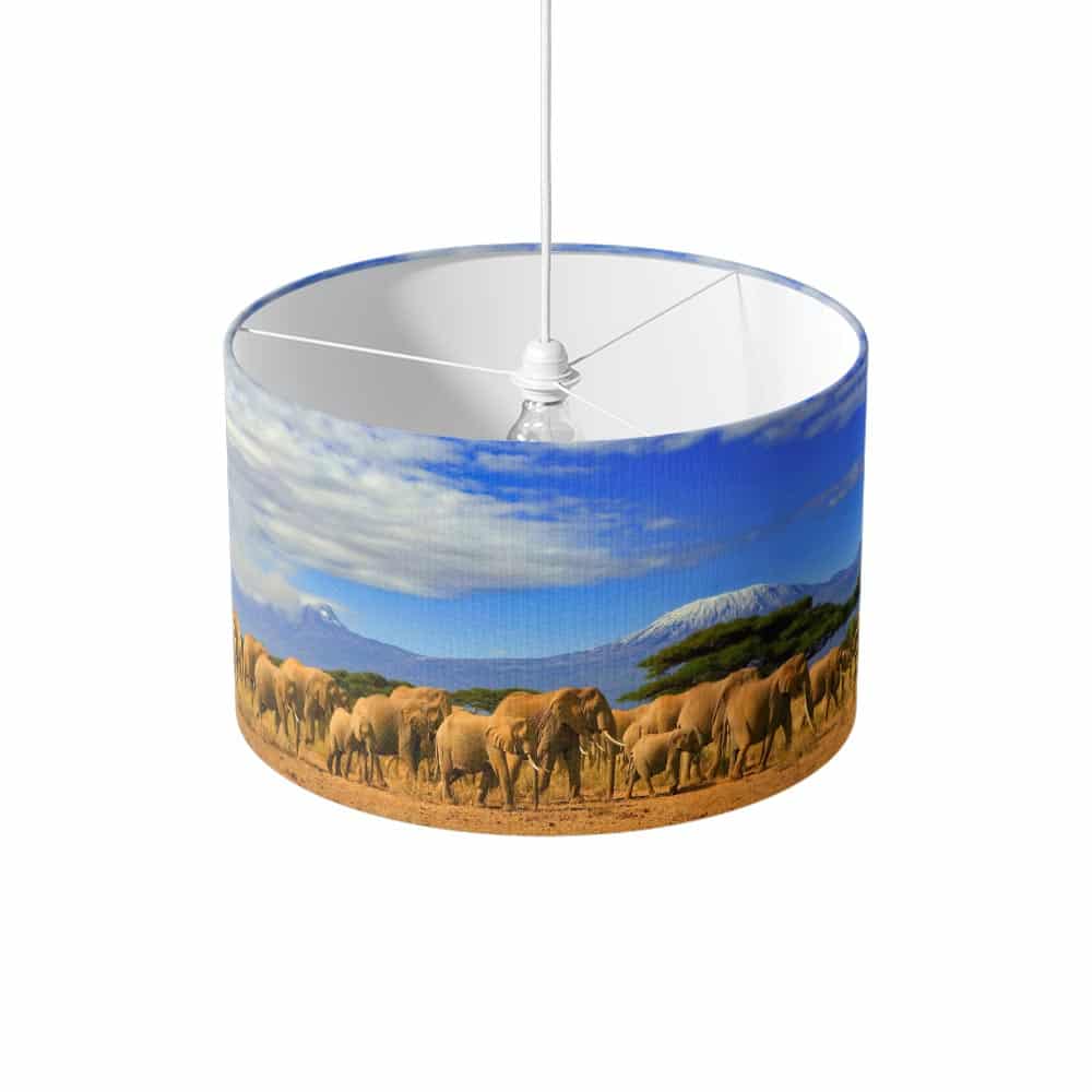 Lampenkap Olifanten bij Kilimanjaro
