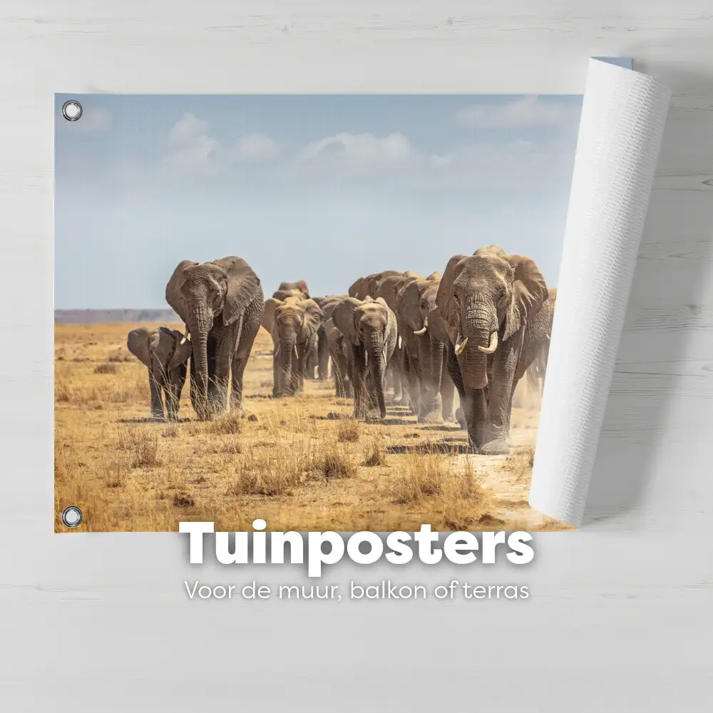 Tuinposters banner youpri home